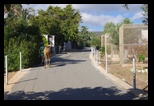 Pafos Zoo -30-05-2017 - Bogdan Balaban
